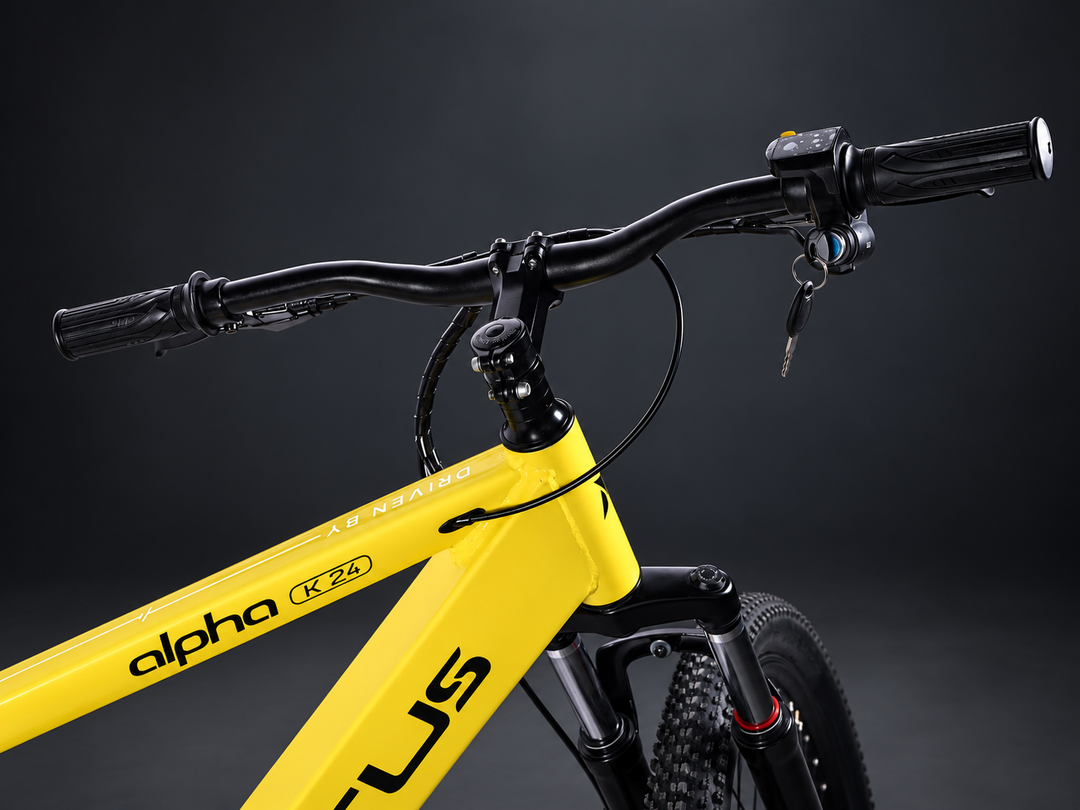 Virtus Motors Alpha K24 Electric Cycle – 24″ | 250W | Up to 40 km Range